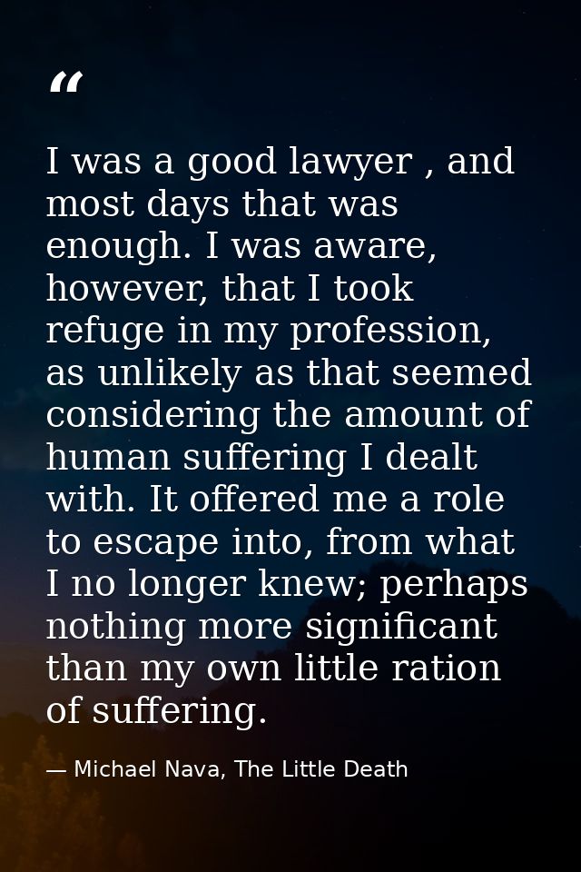 I was a good lawyer , and most days that was enough. I was aware, however, that I took refuge in my profession, as unlik — Michael Nava, The Little Death