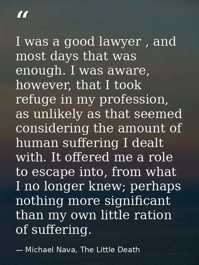 I was a good lawyer , and most days that was enough. I was aware, however, that I took refuge in my profession, as unlik — Michael Nava, The Little Death