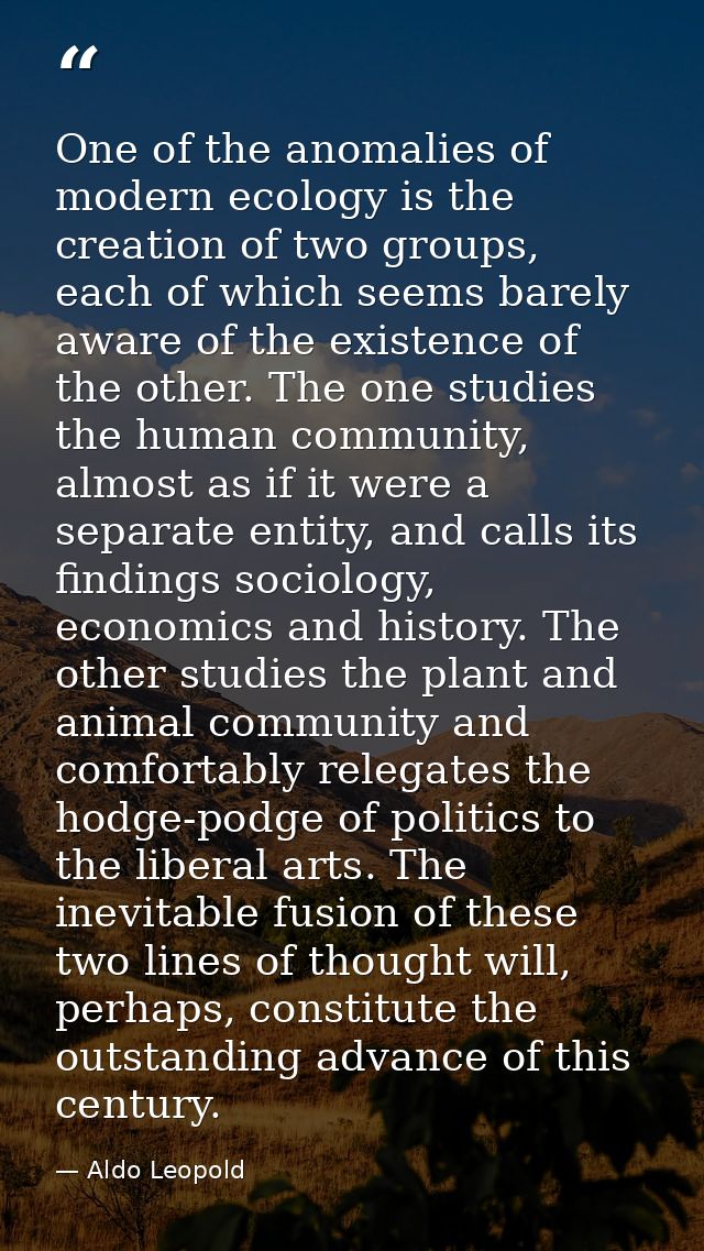 One of the anomalies of modern ecology is the creation of two groups, each of which seems barely aware of the existence  — Aldo Leopold