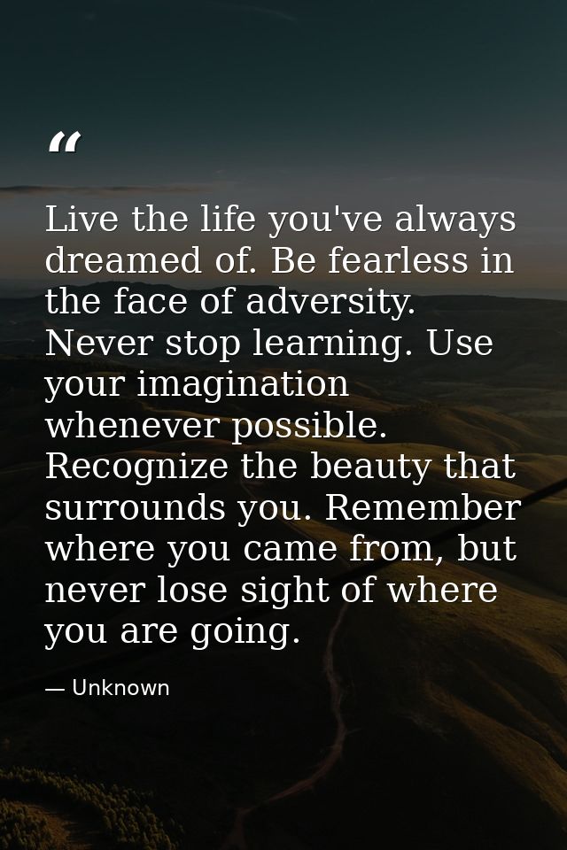 Live the life you've always dreamed of. Be fearless in the face of adversity. Never stop learning. Use your imagination  — Unknown