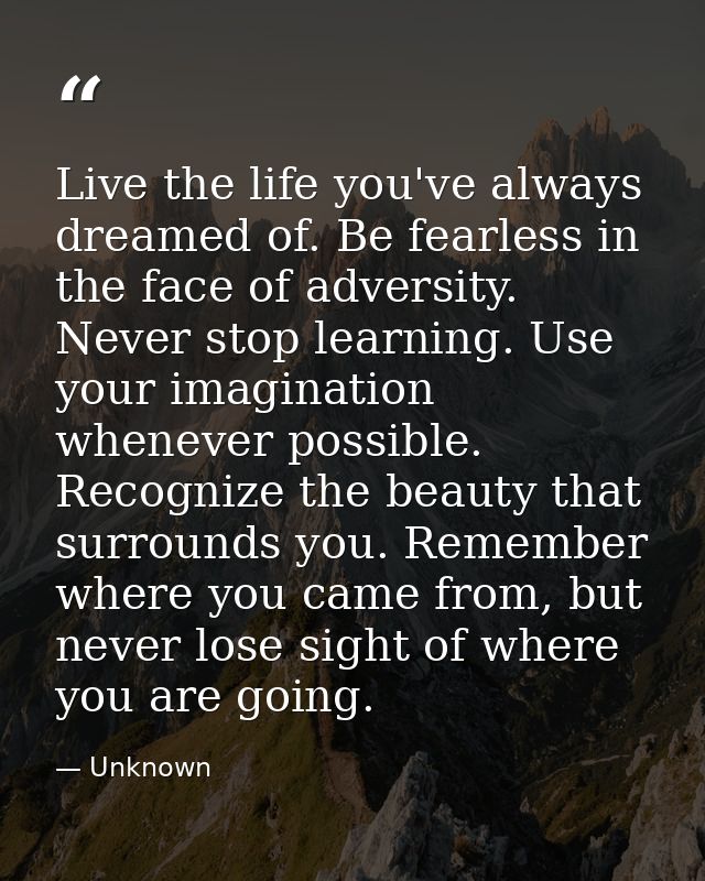 Live the life you've always dreamed of. Be fearless in the face of adversity. Never stop learning. Use your imagination  — Unknown