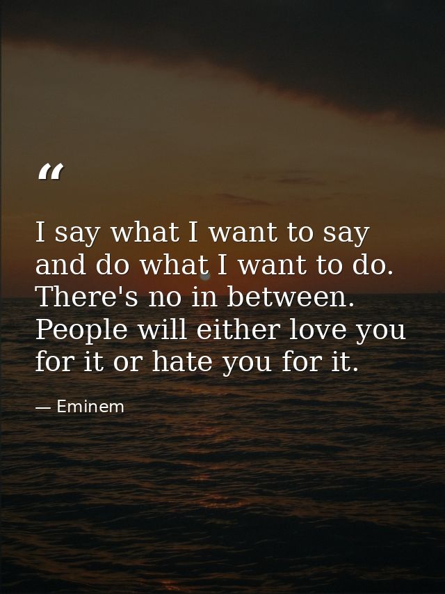I say what I want to say and do what I want to do. There's no in between. People will either love you for it or hate you — Eminem