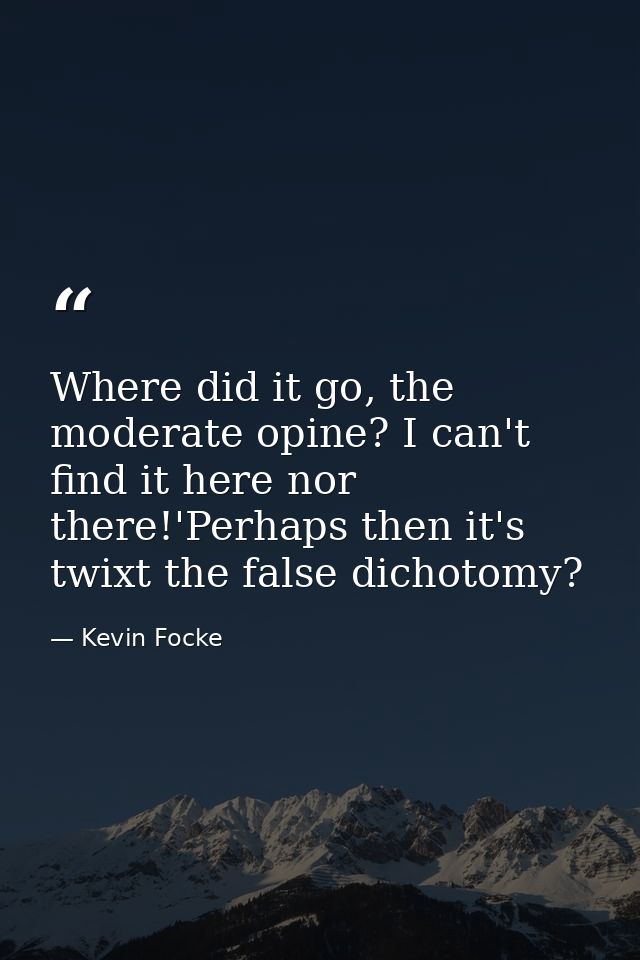 Where did it go, the moderate opine? I can't find it here nor there!'Perhaps then it's twixt the false dichotomy? — Kevin Focke