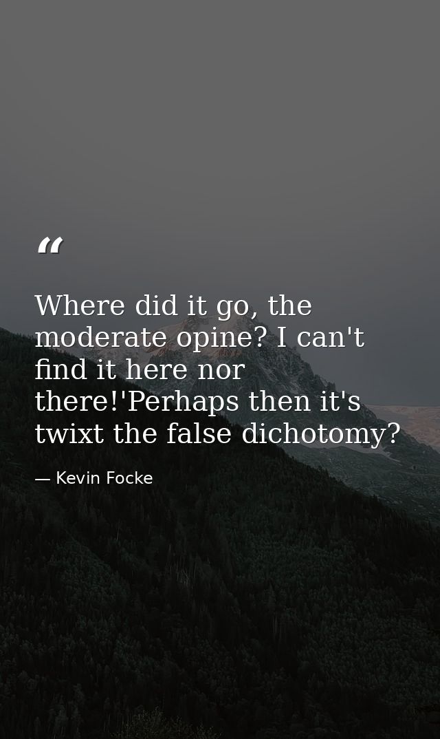 Where did it go, the moderate opine? I can't find it here nor there!'Perhaps then it's twixt the false dichotomy? — Kevin Focke