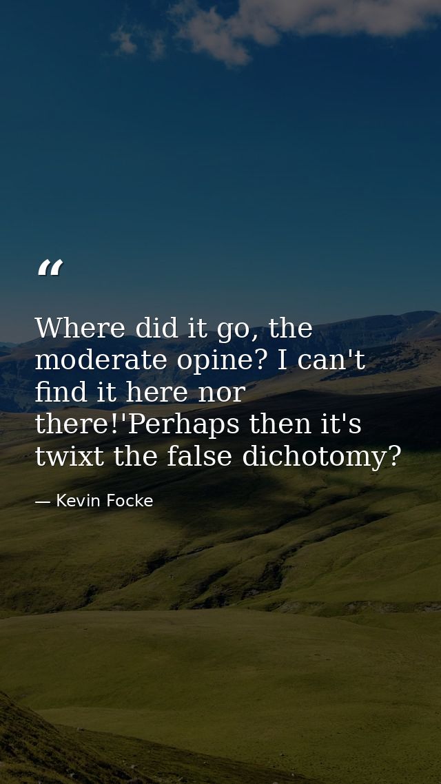 Where did it go, the moderate opine? I can't find it here nor there!'Perhaps then it's twixt the false dichotomy? — Kevin Focke