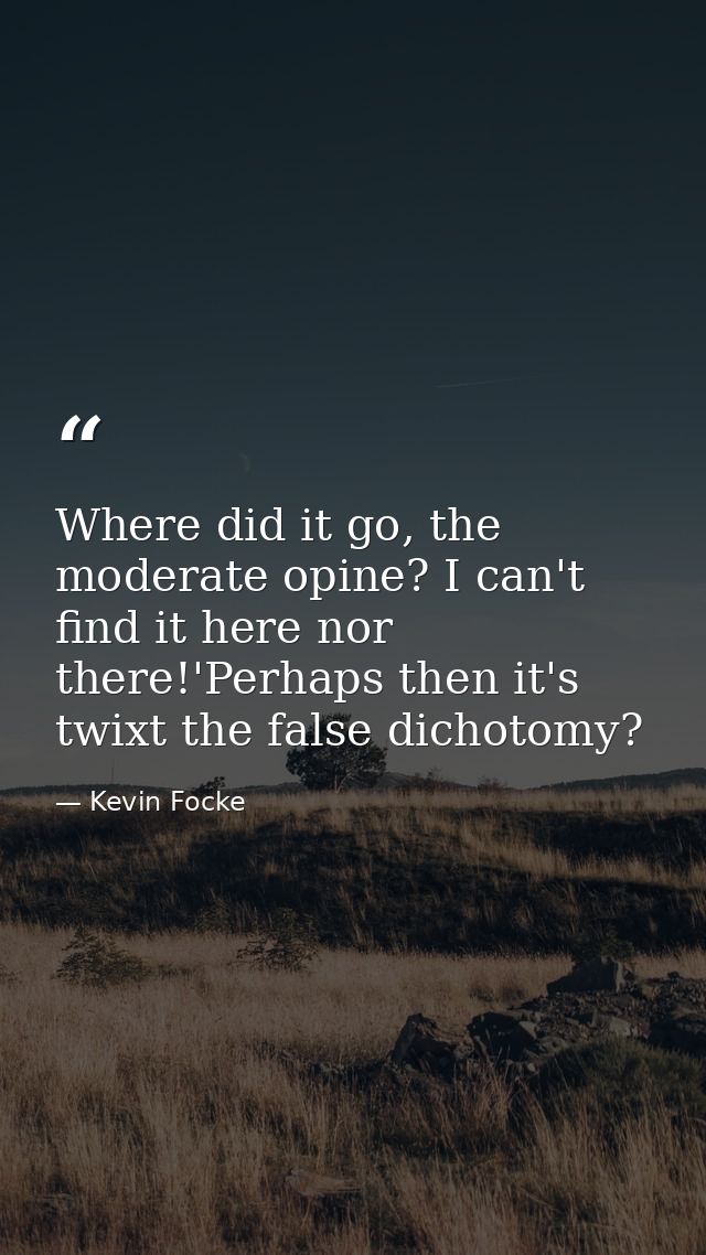 Where did it go, the moderate opine? I can't find it here nor there!'Perhaps then it's twixt the false dichotomy? — Kevin Focke
