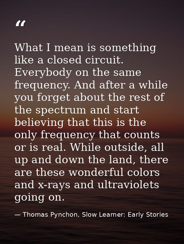 What I mean is something like a closed circuit. Everybody on the same frequency. And after a while you forget about the  — Thomas Pynchon, Slow Learner: Early Stories