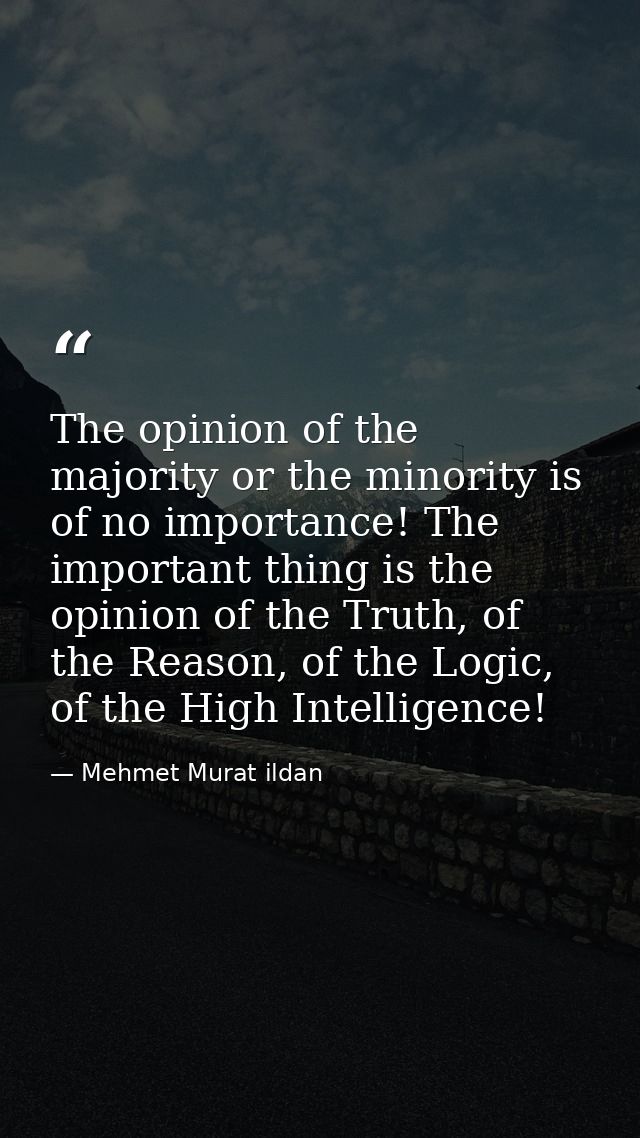The opinion of the majority or the minority is of no importance! The important thing is the opinion of the Truth, of the — Mehmet Murat ildan