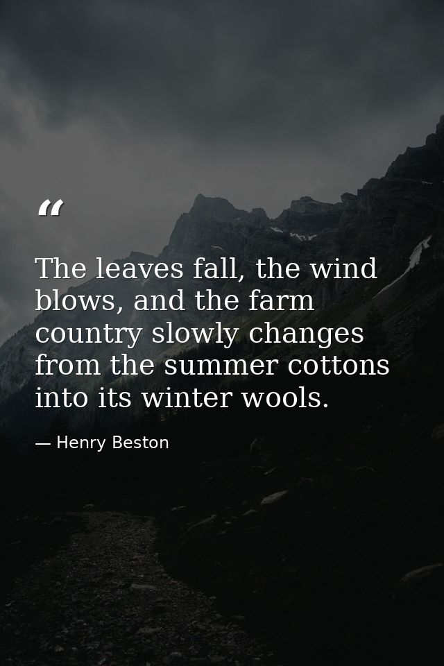 The leaves fall, the wind blows, and the farm country slowly changes from the summer cottons into its winter wools. — Henry Beston