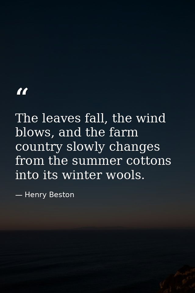 The leaves fall, the wind blows, and the farm country slowly changes from the summer cottons into its winter wools. — Henry Beston