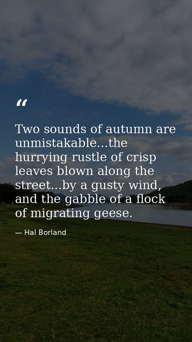 Two sounds of autumn are unmistakable...the hurrying rustle of crisp leaves blown along the street...by a gusty wind, an — Hal Borland