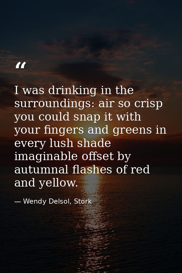I was drinking in the surroundings: air so crisp you could snap it with your fingers and greens in every lush shade imag — Wendy Delsol, Stork