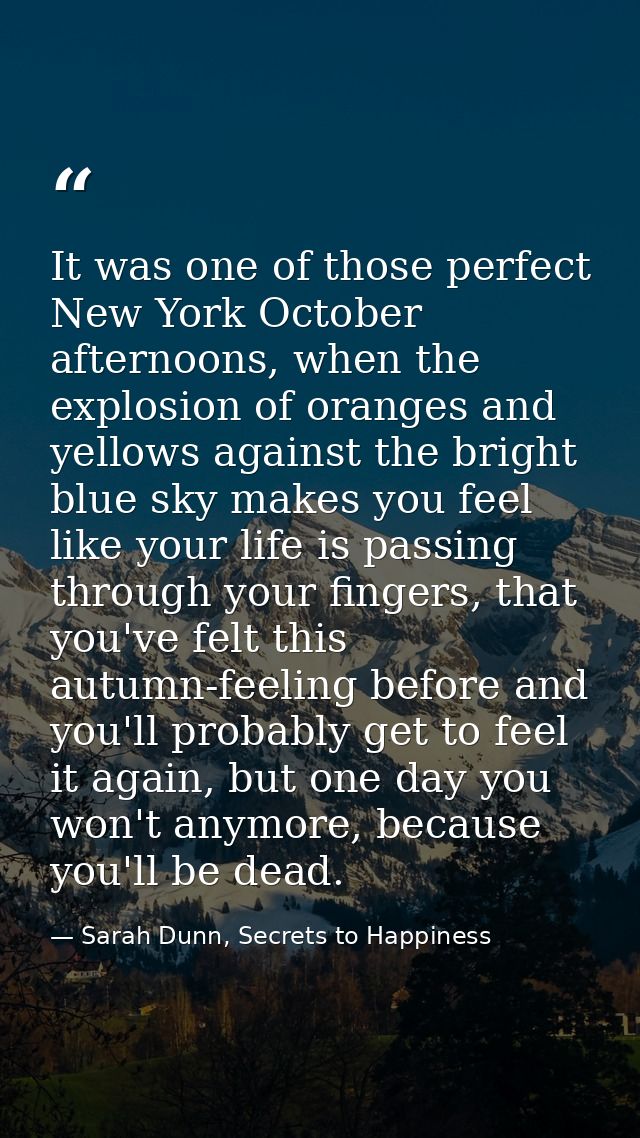 It was one of those perfect New York October afternoons, when the explosion of oranges and yellows against the bright bl — Sarah Dunn, Secrets to Happiness