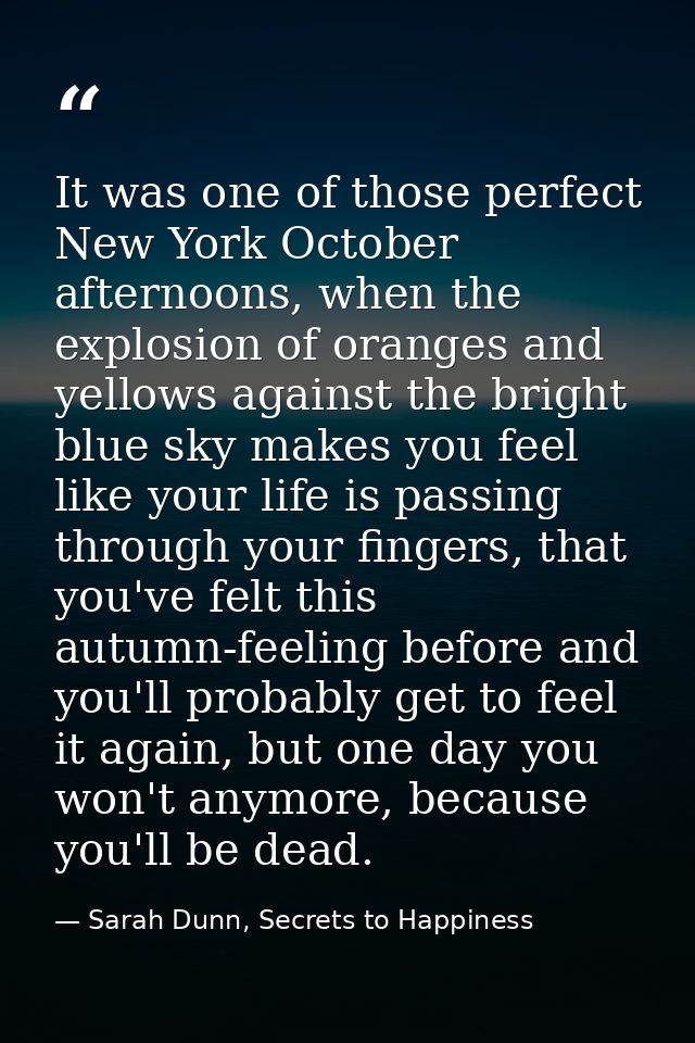 It was one of those perfect New York October afternoons, when the explosion of oranges and yellows against the bright bl — Sarah Dunn, Secrets to Happiness
