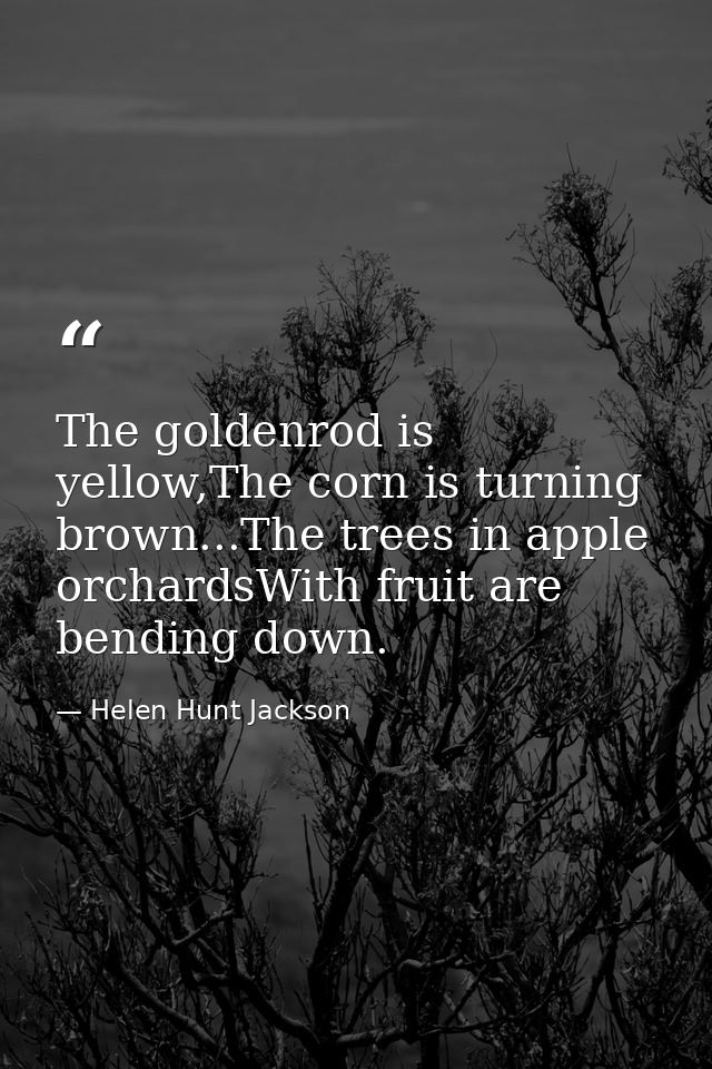 The goldenrod is yellow,The corn is turning brown...The trees in apple orchardsWith fruit are bending down. — Helen Hunt Jackson