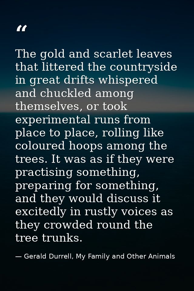 The gold and scarlet leaves that littered the countryside in great drifts whispered and chuckled among themselves, or to — Gerald Durrell, My Family and Other Animals