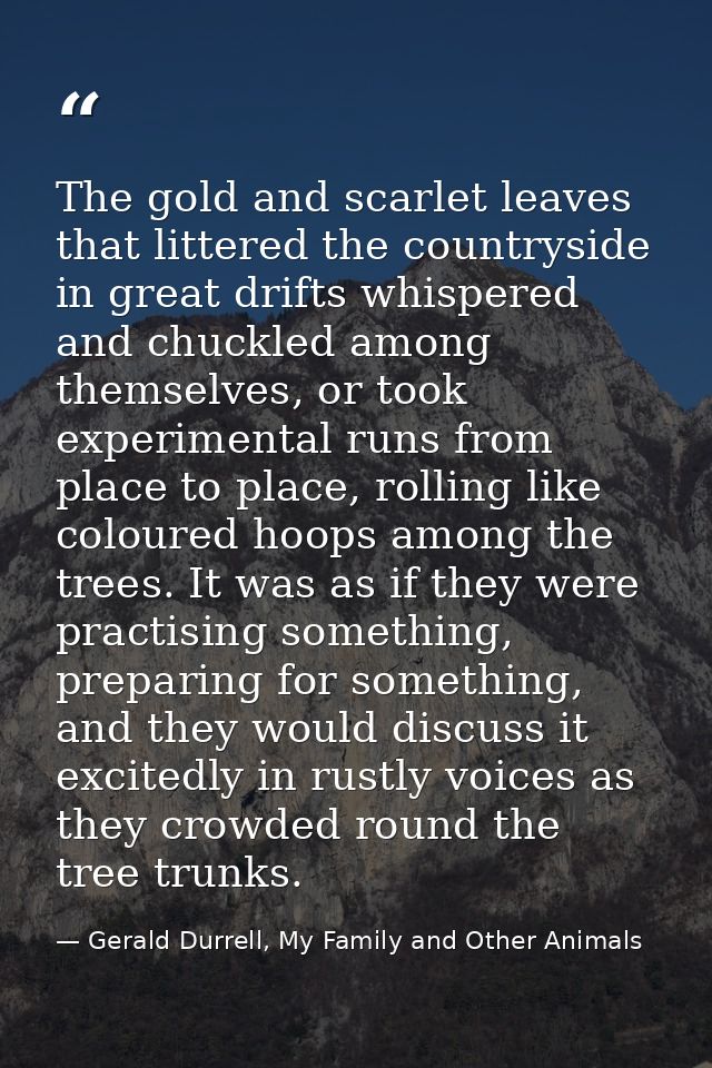 The gold and scarlet leaves that littered the countryside in great drifts whispered and chuckled among themselves, or to — Gerald Durrell, My Family and Other Animals