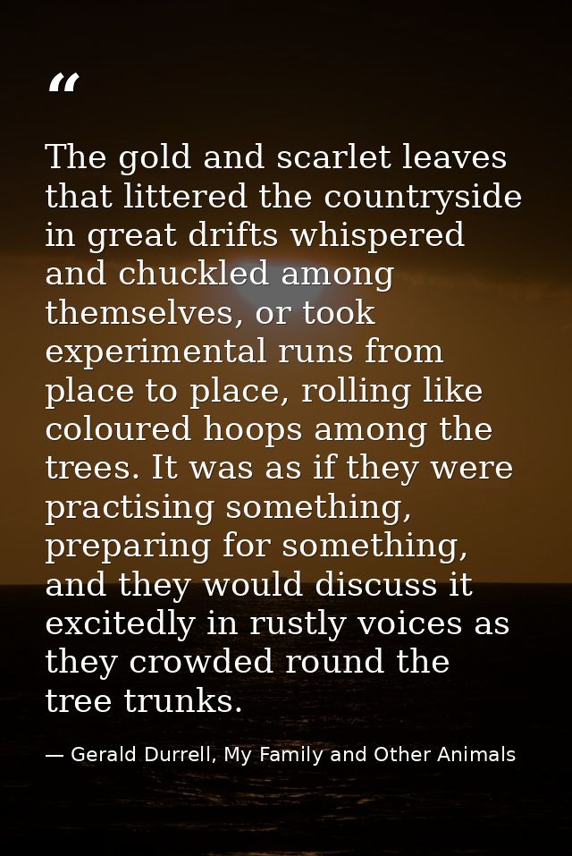 The gold and scarlet leaves that littered the countryside in great drifts whispered and chuckled among themselves, or to — Gerald Durrell, My Family and Other Animals
