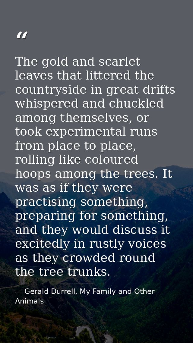 The gold and scarlet leaves that littered the countryside in great drifts whispered and chuckled among themselves, or to — Gerald Durrell, My Family and Other Animals