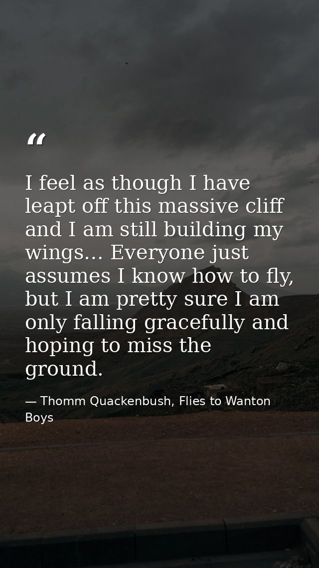 I feel as though I have leapt off this massive cliff and I am still building my wings… Everyone just assumes I know how  — Thomm Quackenbush, Flies to Wanton Boys