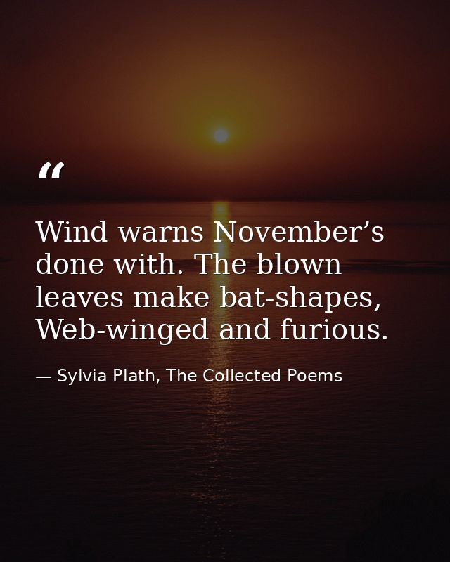 Wind warns November’s done with. The blown leaves make bat-shapes, Web-winged and furious. — Sylvia Plath, The Collected Poems