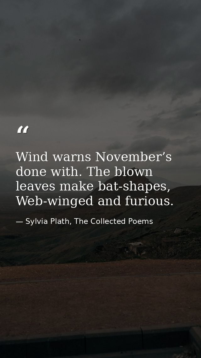 Wind warns November’s done with. The blown leaves make bat-shapes, Web-winged and furious. — Sylvia Plath, The Collected Poems