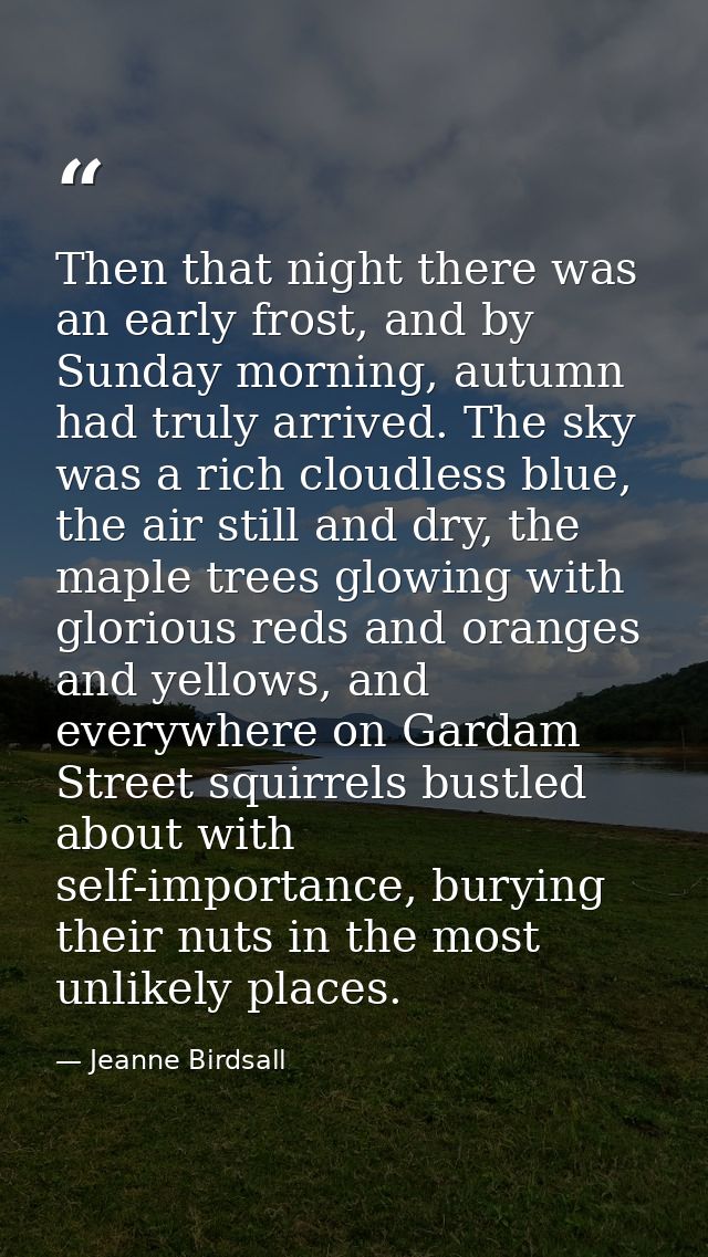 Then that night there was an early frost, and by Sunday morning, autumn had truly arrived. The sky was a rich cloudless  — Jeanne Birdsall