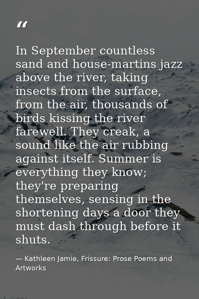 In September countless sand and house-martins jazz above the river, taking insects from the surface, from the air, thous — Kathleen Jamie, Frissure: Prose Poems and Artworks