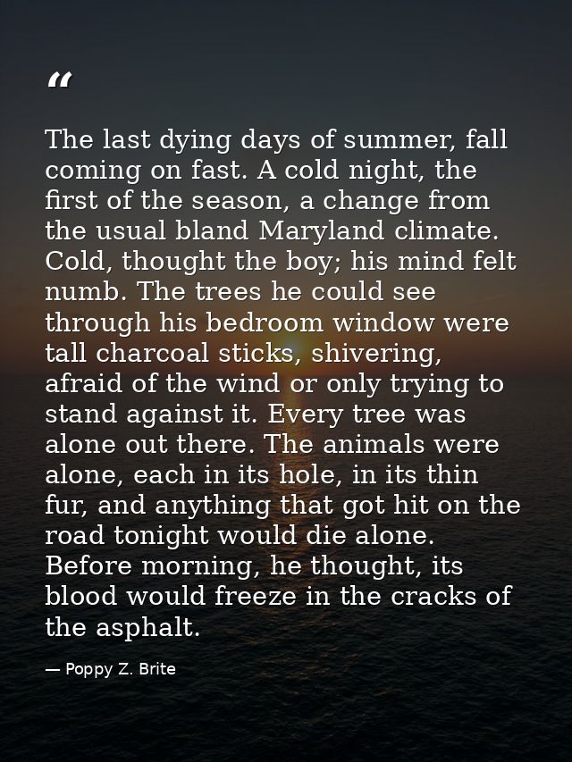 The last dying days of summer, fall coming on fast. A cold night, the first of the season, a change from the usual bland — Poppy Z. Brite