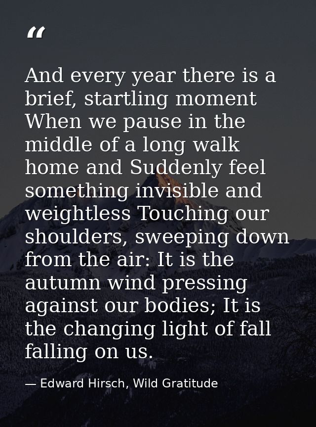 And every year there is a brief, startling moment When we pause in the middle of a long walk home and Suddenly feel some — Edward Hirsch, Wild Gratitude