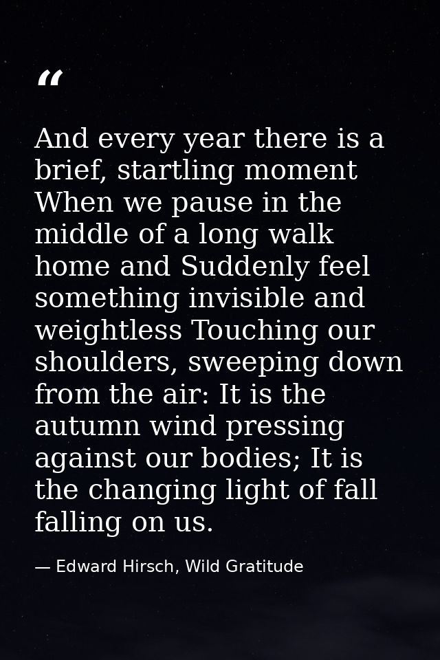 And every year there is a brief, startling moment When we pause in the middle of a long walk home and Suddenly feel some — Edward Hirsch, Wild Gratitude