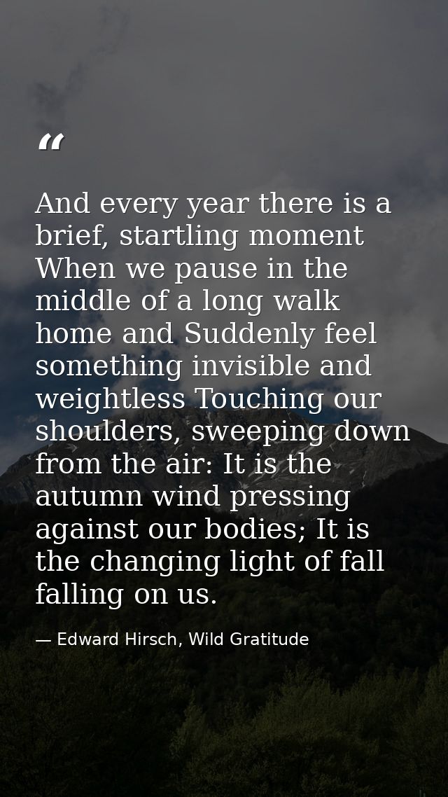 And every year there is a brief, startling moment When we pause in the middle of a long walk home and Suddenly feel some — Edward Hirsch, Wild Gratitude