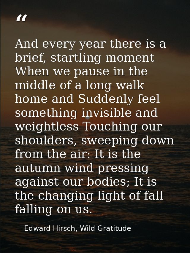 And every year there is a brief, startling moment When we pause in the middle of a long walk home and Suddenly feel some — Edward Hirsch, Wild Gratitude