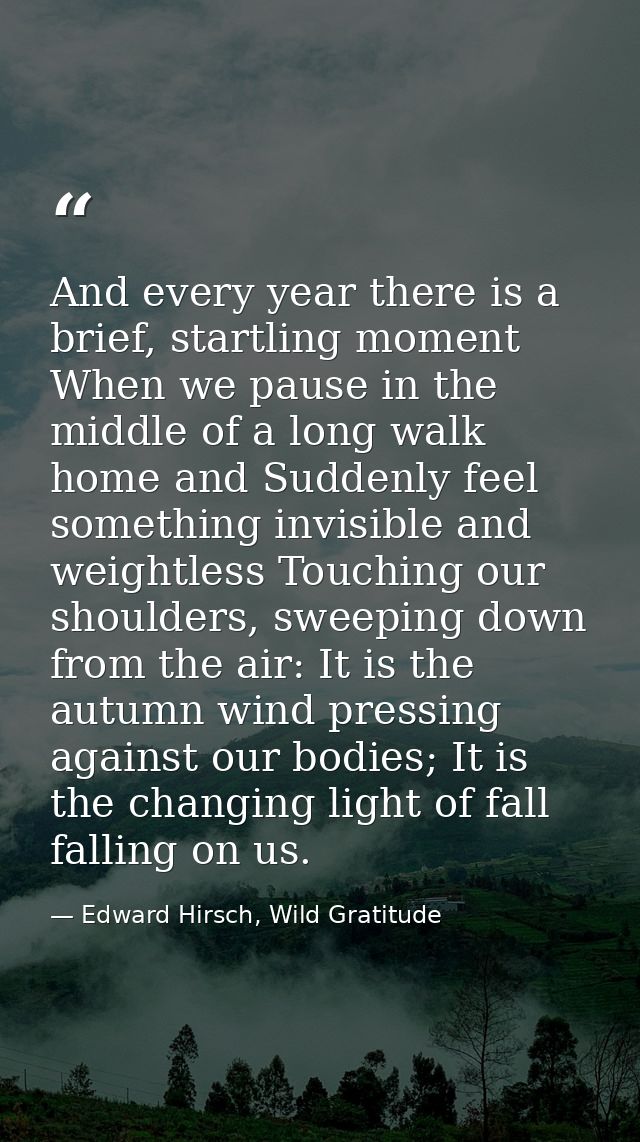 And every year there is a brief, startling moment When we pause in the middle of a long walk home and Suddenly feel some — Edward Hirsch, Wild Gratitude