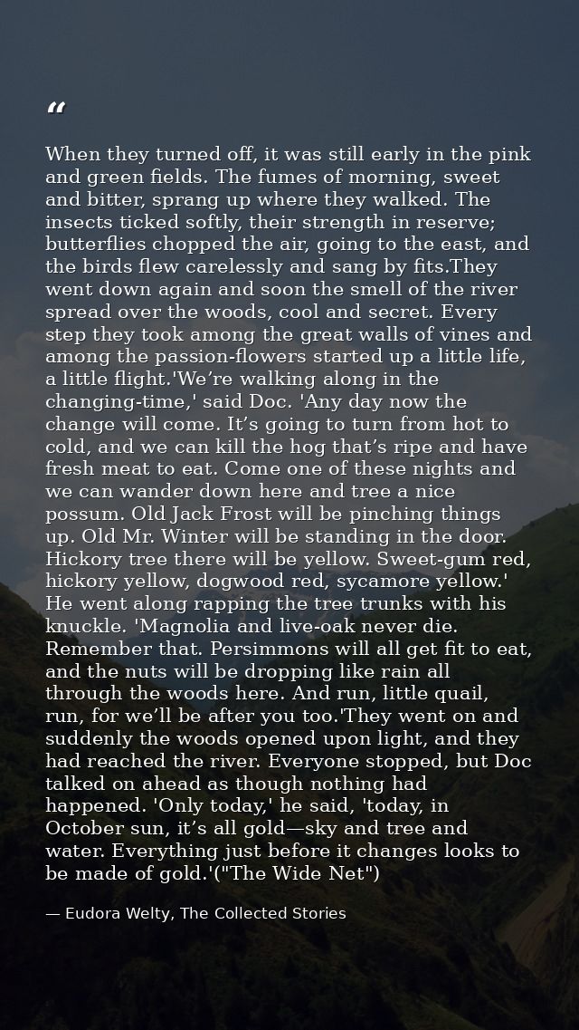When they turned off, it was still early in the pink and green fields. The fumes of morning, sweet and bitter, sprang up — Eudora Welty, The Collected Stories