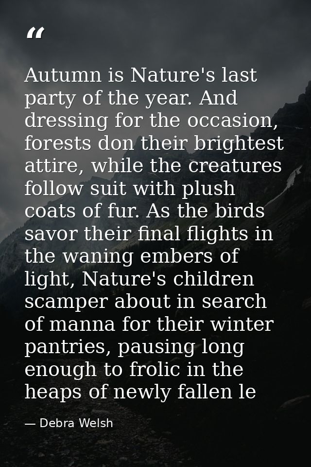 Autumn is Nature's last party of the year. And dressing for the occasion, forests don their brightest attire, while the  — Debra Welsh