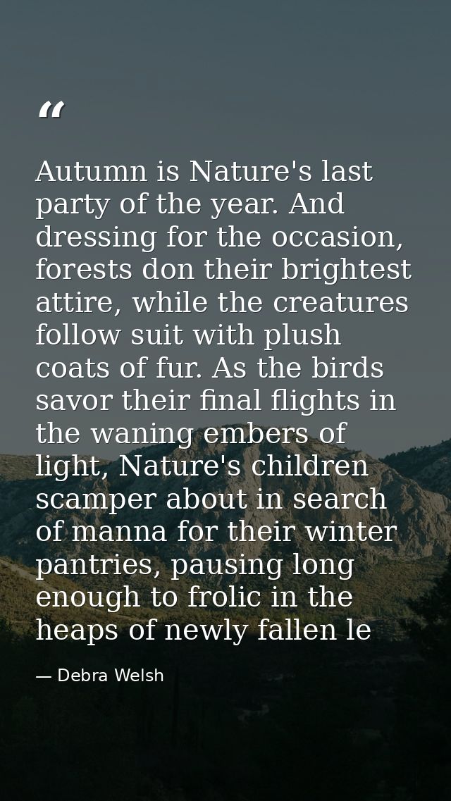 Autumn is Nature's last party of the year. And dressing for the occasion, forests don their brightest attire, while the  — Debra Welsh