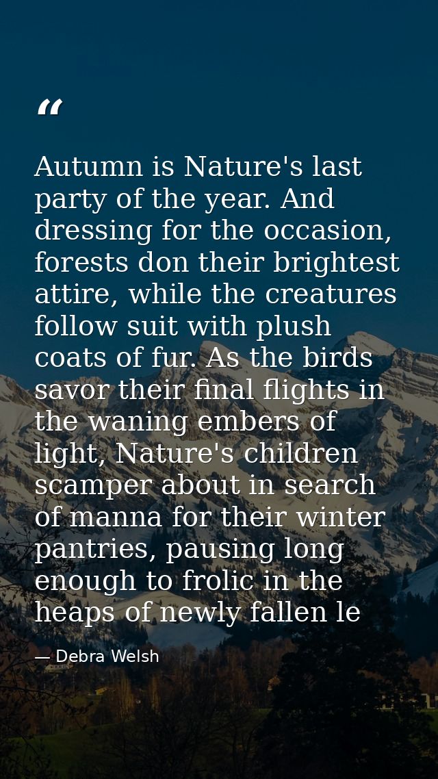 Autumn is Nature's last party of the year. And dressing for the occasion, forests don their brightest attire, while the  — Debra Welsh