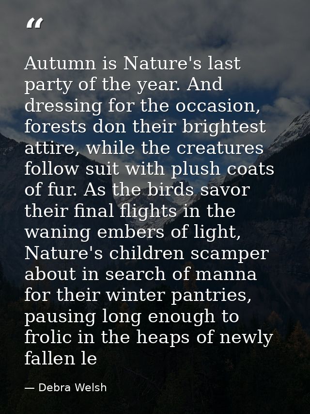 Autumn is Nature's last party of the year. And dressing for the occasion, forests don their brightest attire, while the  — Debra Welsh
