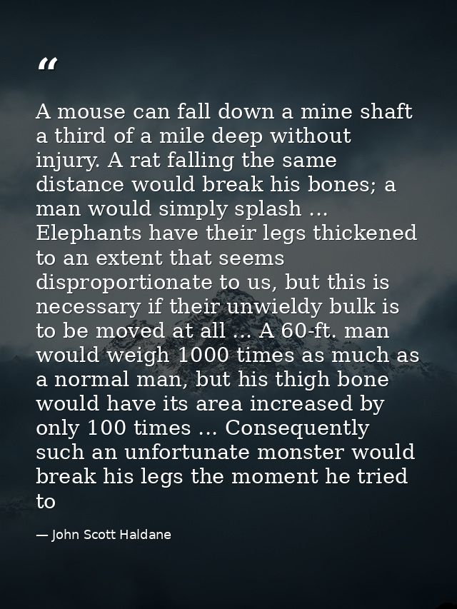 A mouse can fall down a mine shaft a third of a mile deep without injury. A rat falling the same distance would break hi — John Scott Haldane