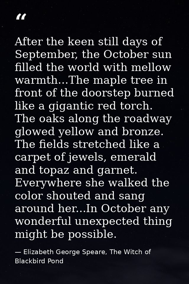 After the keen still days of September, the October sun filled the world with mellow warmth...The maple tree in front of — Elizabeth George Speare, The Witch of Blackbird Pond