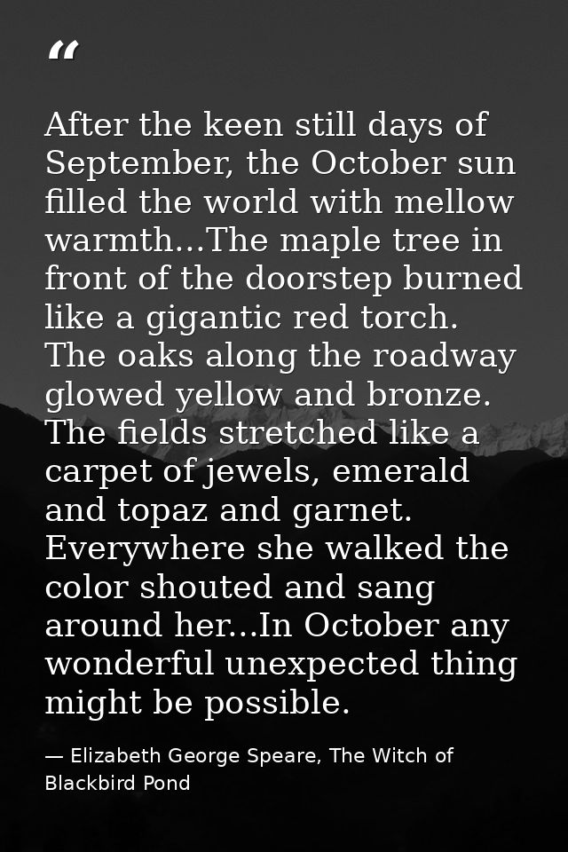 After the keen still days of September, the October sun filled the world with mellow warmth...The maple tree in front of — Elizabeth George Speare, The Witch of Blackbird Pond