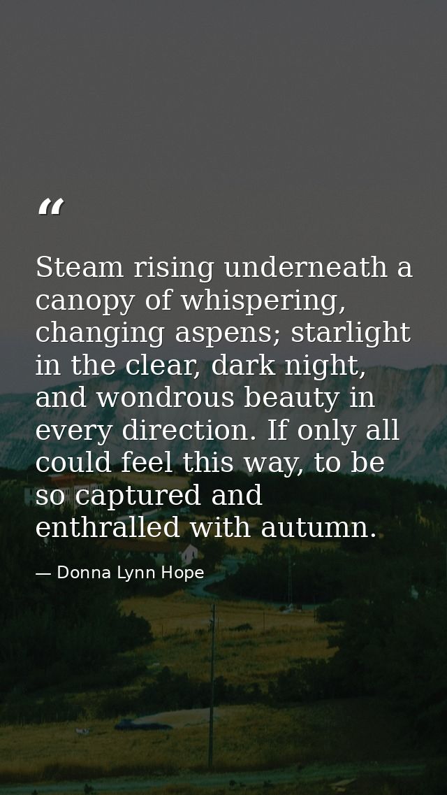 Steam rising underneath a canopy of whispering, changing aspens; starlight in the clear, dark night, and wondrous beauty — Donna Lynn Hope