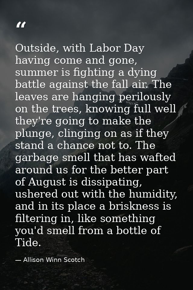 Outside, with Labor Day having come and gone, summer is fighting a dying battle against the fall air. The leaves are han — Allison Winn Scotch