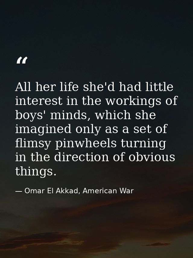 All her life she'd had little interest in the workings of boys' minds, which she imagined only as a set of flimsy pinwhe — Omar El Akkad, American War