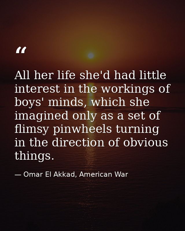 All her life she'd had little interest in the workings of boys' minds, which she imagined only as a set of flimsy pinwhe — Omar El Akkad, American War