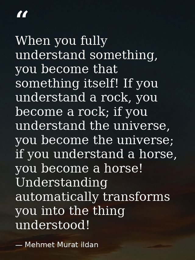 When you fully understand something, you become that something itself! If you understand a rock, you become a rock; if y — Mehmet Murat ildan