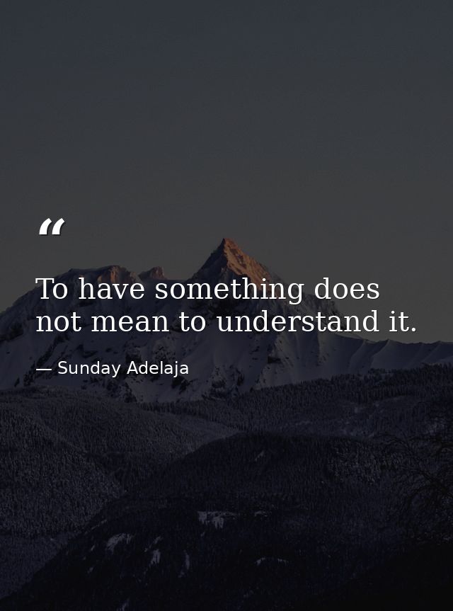 To have something does not mean to understand it. — Sunday Adelaja