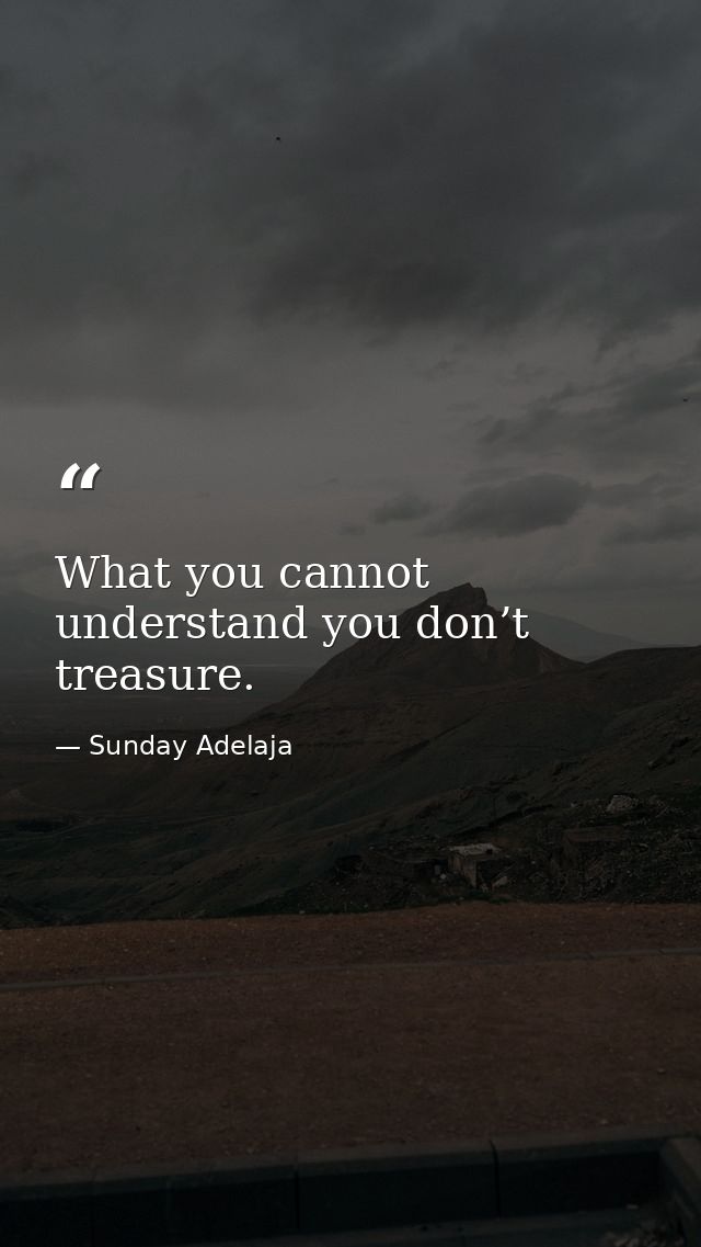 What you cannot understand you don’t treasure. — Sunday Adelaja