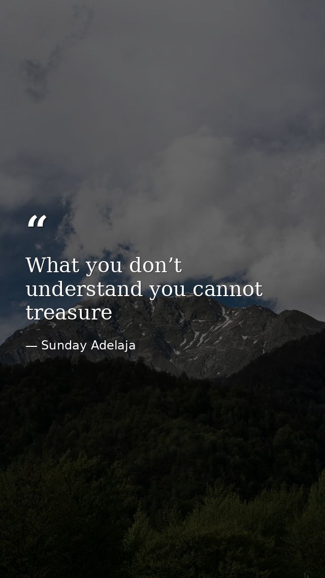 What you don’t understand you cannot treasure — Sunday Adelaja